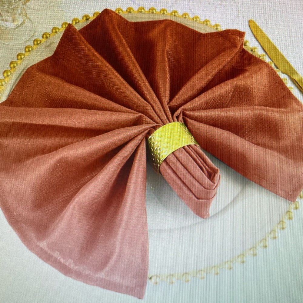 Dinner Napkins Terracotta Color Polyester Set of 12  size 20 X‎ 20 used once.